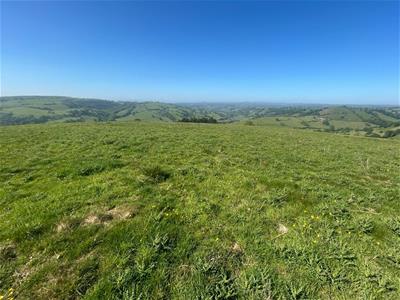 Click to view more details